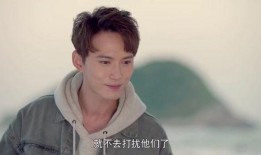 王照达爆料徐正溪视频,真相背后引人深思